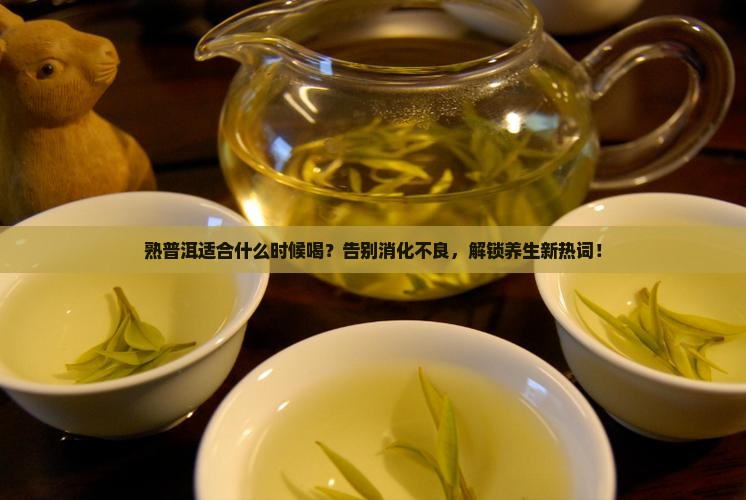 熟普洱适合什么时候喝
