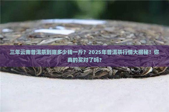 三年云南普洱茶多少钱一斤