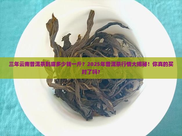 三年云南普洱茶多少钱一斤