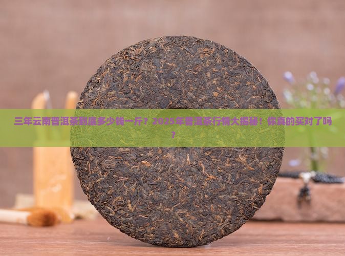 三年云南普洱茶多少钱一斤