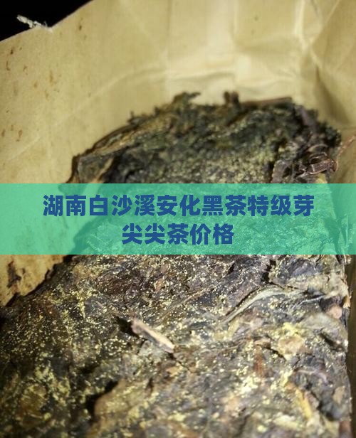 白沙溪5301芽尖茶价格