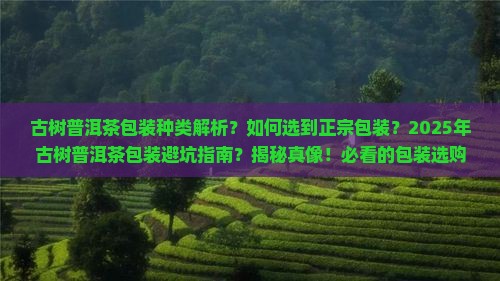 古树普洱茶包装种类
