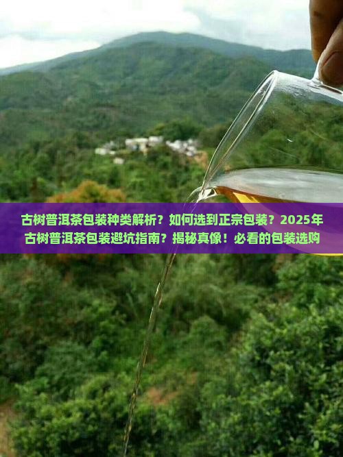 古树普洱茶包装种类