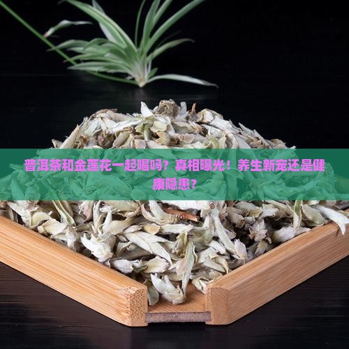 普洱茶和金莲花一起喝吗