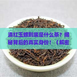 滇红玉螺是什么茶
