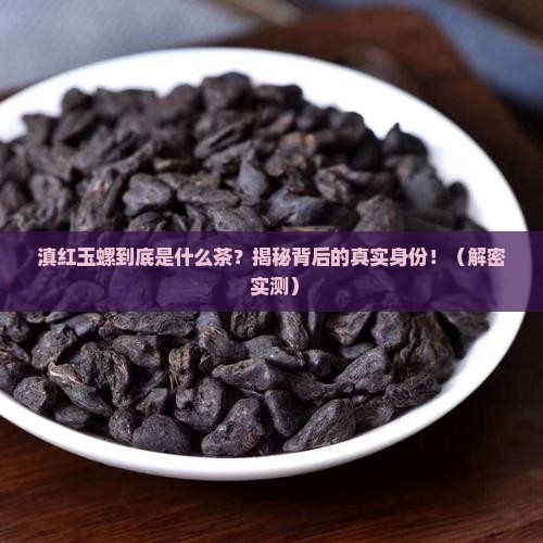 滇红玉螺是什么茶