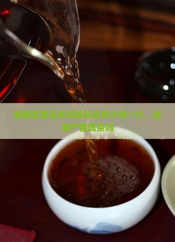 越南卖普洱茶吗现在卖多少钱