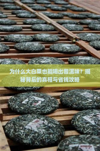 为什么叫大白菜普洱