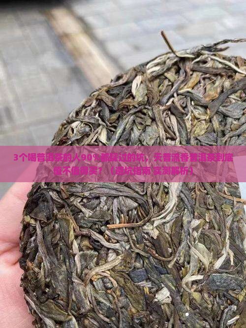 天普流香普洱茶