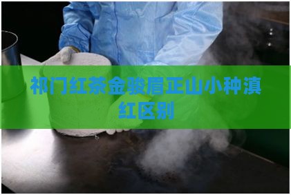 祁门红茶金骏眉正山小种滇红区别