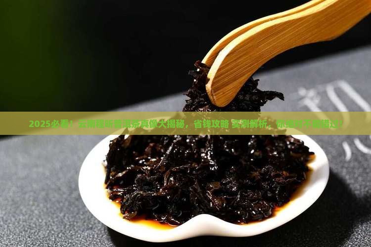 云南程昕普洱茶