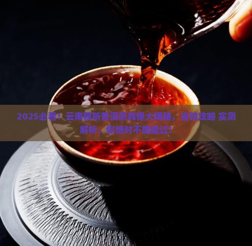 云南程昕普洱茶