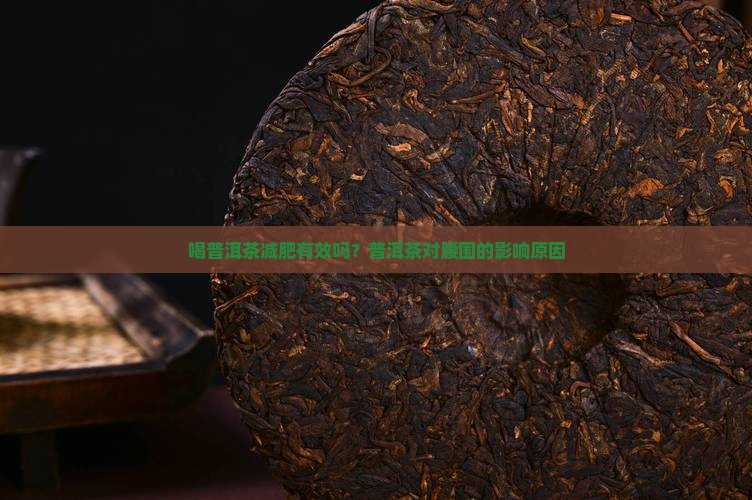 喝普洱茶腰围变小了吗为什么