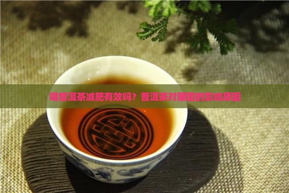喝普洱茶腰围变小了吗为什么