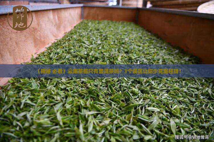 云南茶都是普洱茶吗