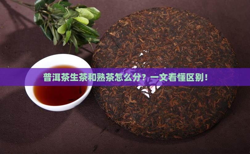 普洱茶生茶和熟茶怎么分