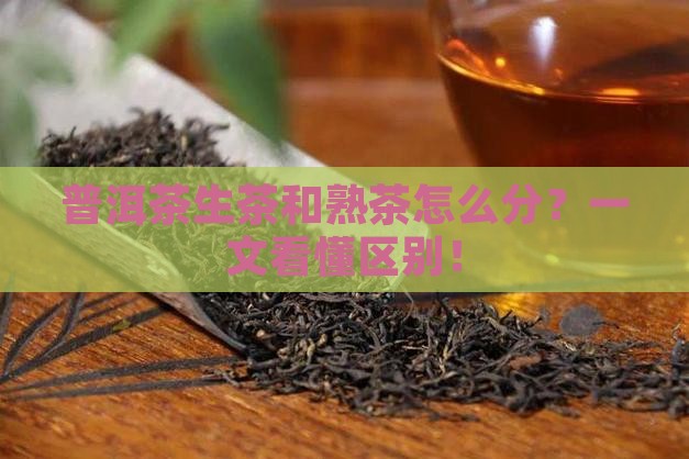 普洱茶生茶和熟茶怎么分