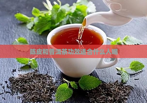 陈皮和普洱茶功效适合什么人喝