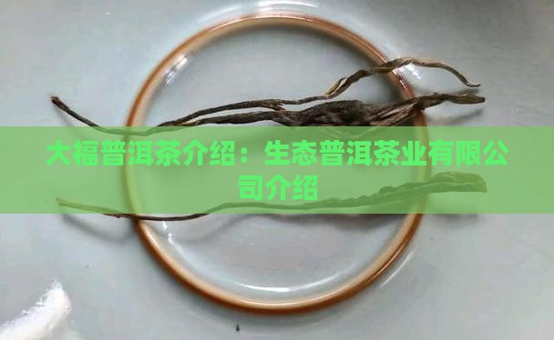 今大福普洱茶介绍 今大福普洱茶介绍