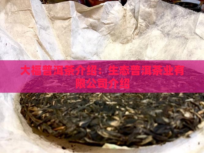 今大福普洱茶介绍 今大福普洱茶介绍