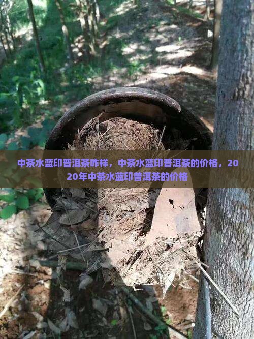 中茶水蓝印普洱茶咋样