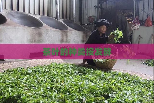 茶叶的种类按发酵