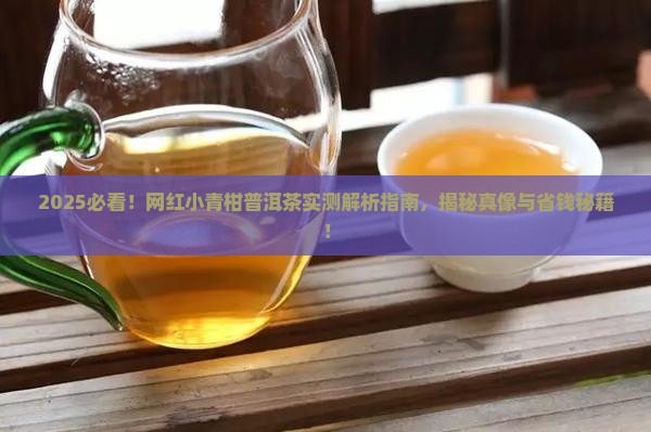 网红小青柑普洱茶测评