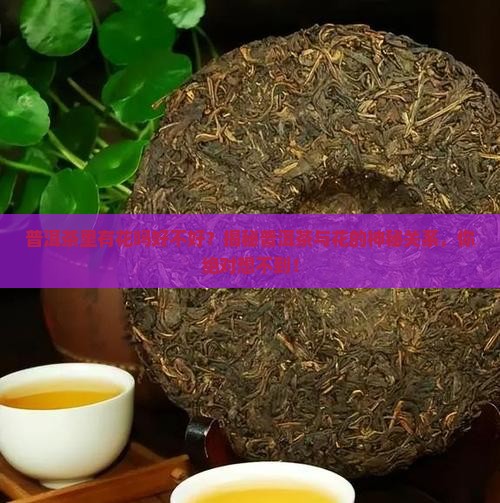 普洱茶里有花吗好不好
