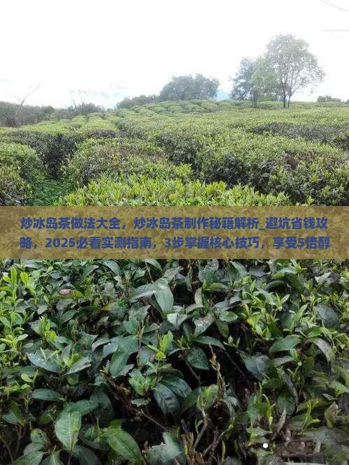 炒冰岛茶做法大全