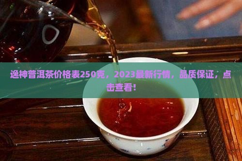 逸神普洱茶价格表250克