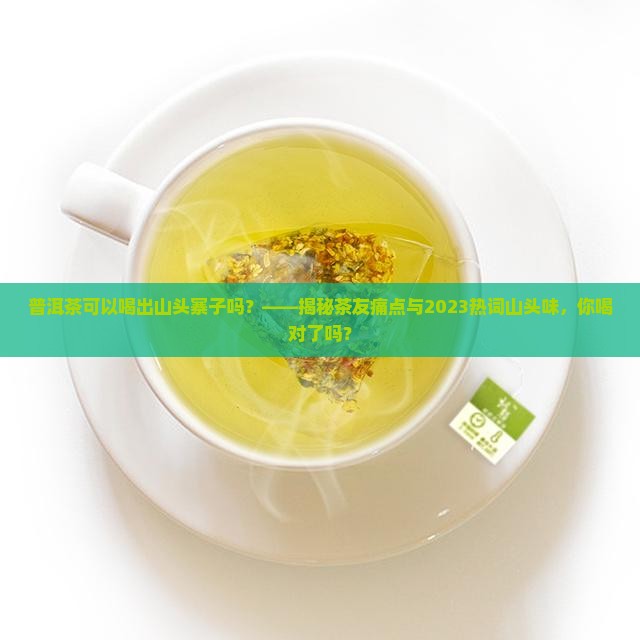 普洱茶可以喝出山头寨子吗