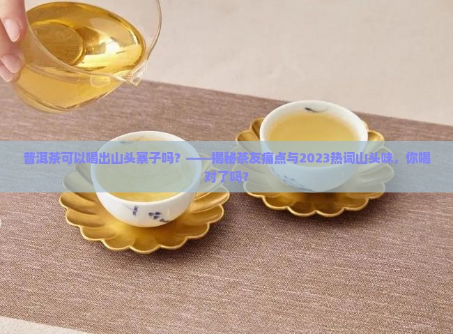 普洱茶可以喝出山头寨子吗