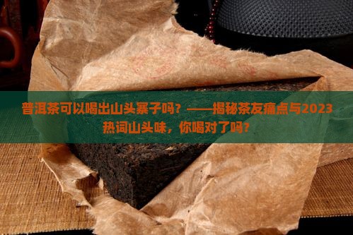 普洱茶可以喝出山头寨子吗