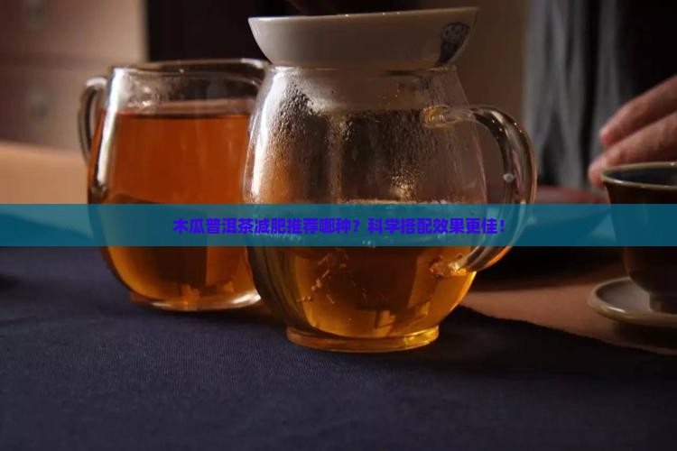 木瓜普洱茶减肥推荐哪种