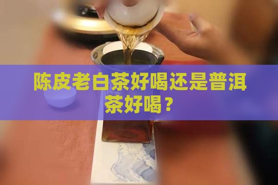 陈皮老白茶好喝还是普洱茶