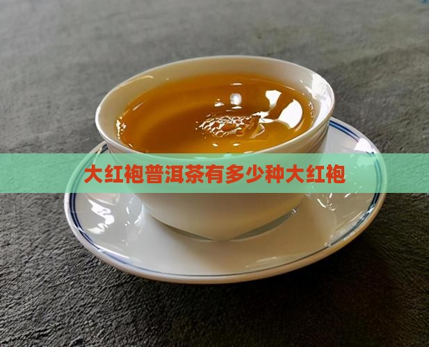 大红袍普洱茶有多少种