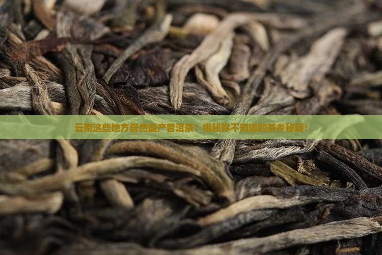 云南盛产普洱茶的地方有哪些