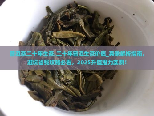 普洱茶二十年生茶