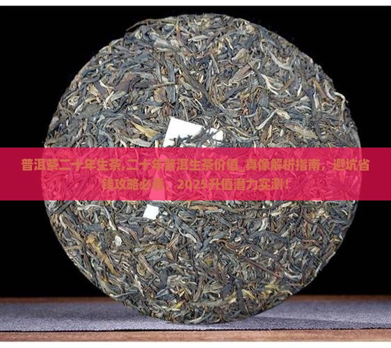 普洱茶二十年生茶