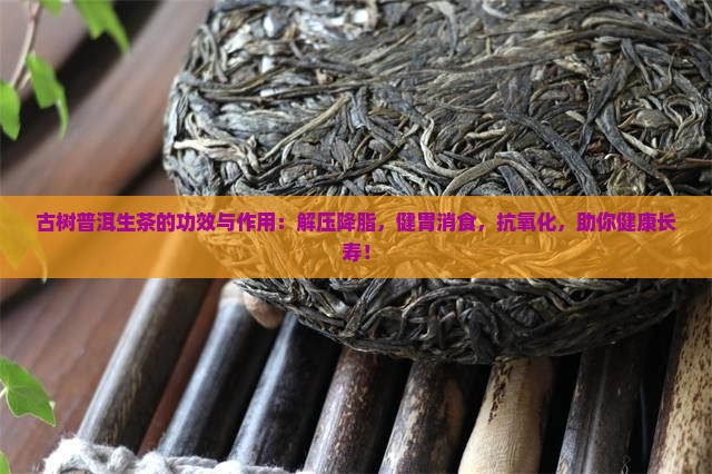 古树普洱生茶的功效与作用