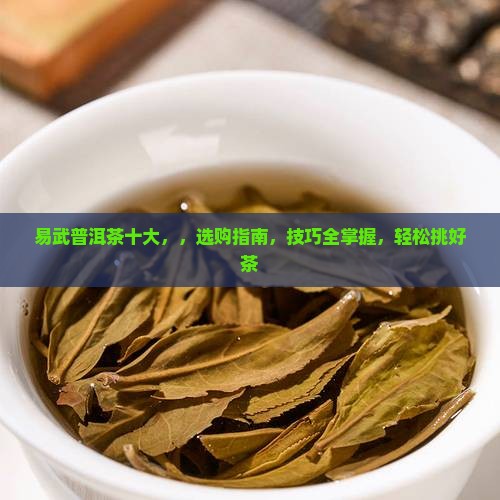 易武普洱茶十大品牌