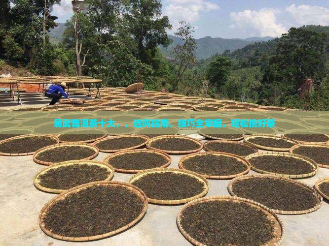 易武普洱茶十大品牌
