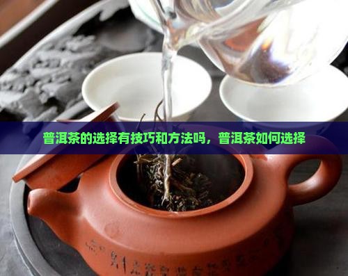 普洱茶的选择有技巧