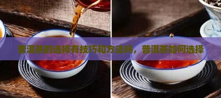 普洱茶的选择有技巧