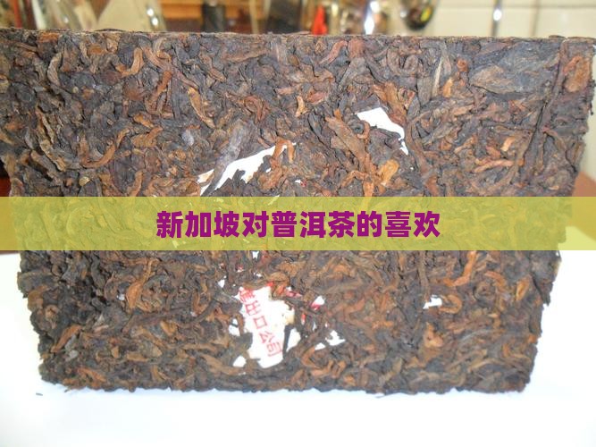 台湾新加坡对普洱茶的喜欢