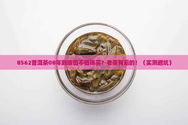 8562普洱茶08年