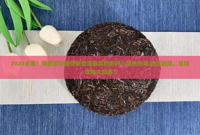 陶瓷茶叶罐存放普洱茶可以吗