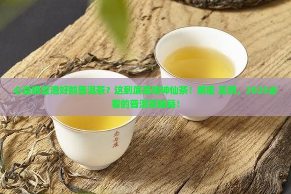 心造极壹泡好韵普洱茶