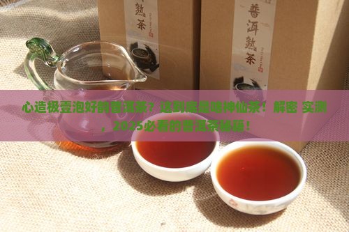 心造极壹泡好韵普洱茶