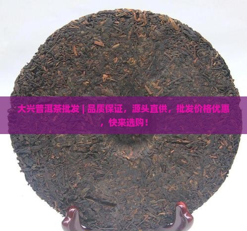 大兴普洱茶批发